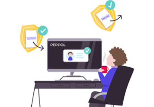 E-factureren verzenden en ontvangen over verschillende netwerken, zoals PEPPOL